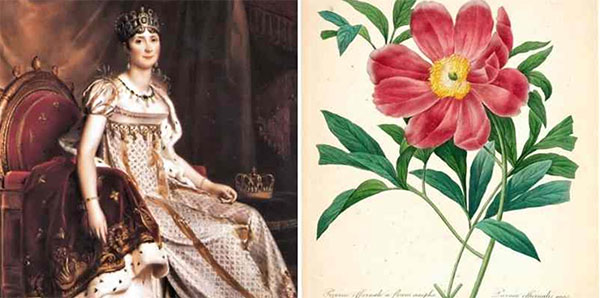 约瑟芬·德·波哈奈（Joséphinede Beauharnais），对玫瑰充满热情的女皇