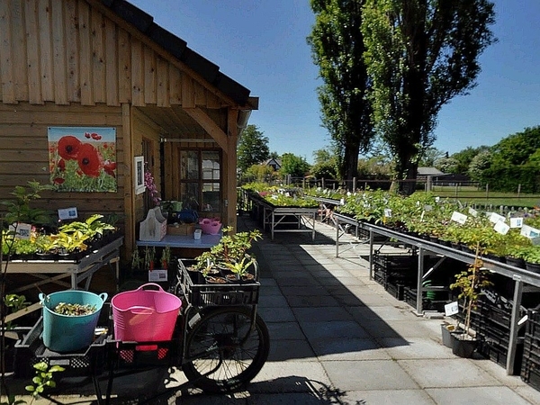 荷兰玛格丽特苗圃 Kwekerij Margriet