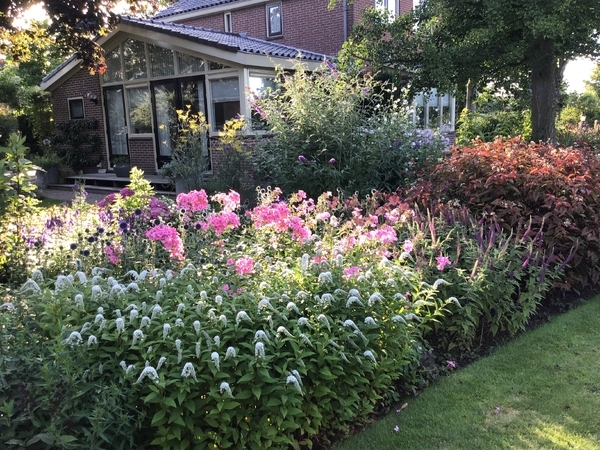 荷兰德格斯花园 Tuin de Geus