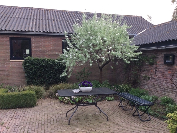 荷兰德格斯花园 Tuin de Geus