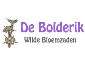 荷兰Bolderik 野花种子苗圃