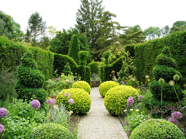 英国园丁慈善机构 Perennial York Gate约克门花园