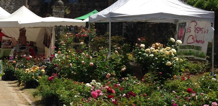 法国玫瑰协会Roses Anciennes en France