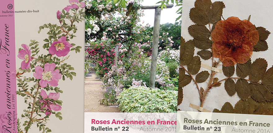 法国玫瑰协会 Roses Anciennes en France