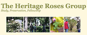 美国传统玫瑰小组 Heritage Roses Group
