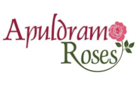 英国阿普尔德拉姆玫瑰 Apuldram Roses