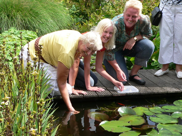 De tuin van Karel en Tine van den Berg