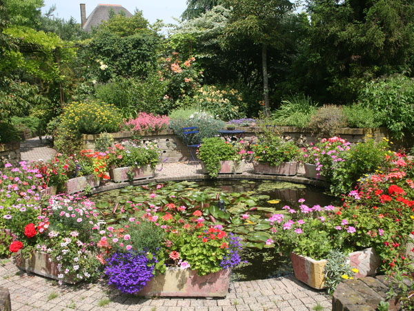 荷兰伊纳库林花园 Ilnacullin tuin