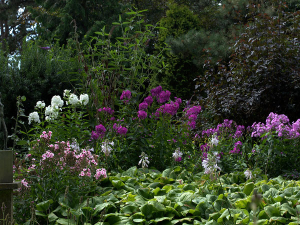 荷兰多恩杜恩自然花园 Natuurtuin de Doornduyn