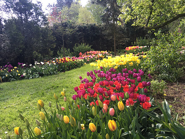 荷兰多恩杜恩自然花园 Natuurtuin de Doornduyn