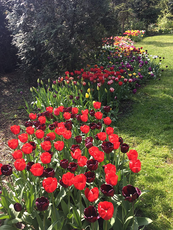 荷兰多恩杜恩自然花园 Natuurtuin de Doornduyn