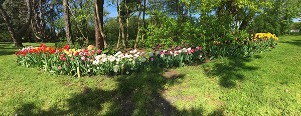 荷兰多恩杜恩自然花园 Natuurtuin de Doornduyn