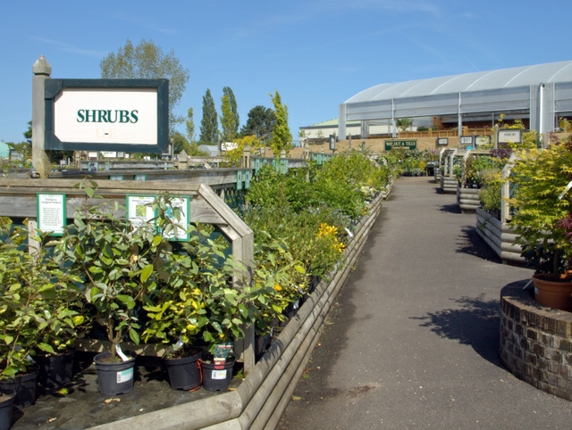 英国白金汉苗圃和花园中心