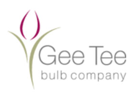 英国 Gee Tee 球茎公司