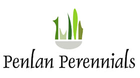 英国彭兰多年生植物苗圃 Penlan Perennials