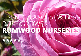 英国拉姆伍德苗圃和花园中心 Rumwood Nurseries