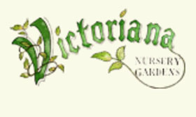 英国维多利亚苗圃花园 Victoriana Nursery Gardens