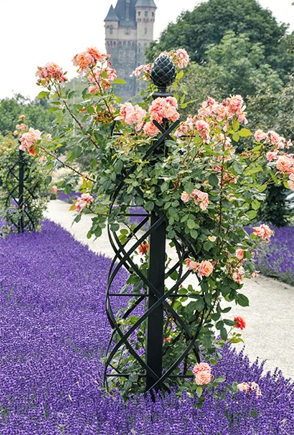 美丽的欧洲花园棚架景观 放眼园艺 世界园艺之门
