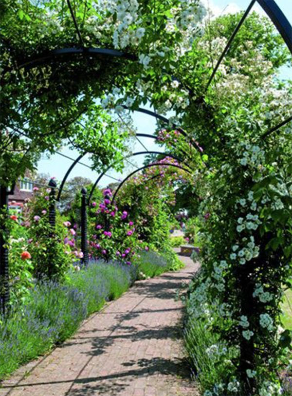 美丽的欧洲花园棚架景观 放眼园艺 世界园艺之门