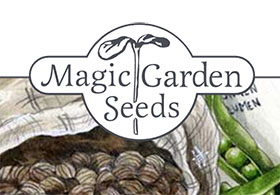 德国魔法花园种子 Magic Garden Seeds