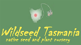 澳大利亚塔斯马尼亚野生植物种子Wildseed Tasmania