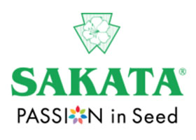 丹麦樱田观赏植物 SAKATA ORNAMENTALS
