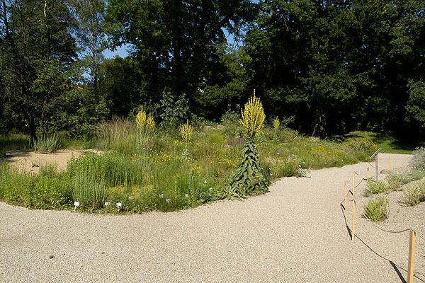 维也纳大学植物园 Universität Botanischen Garten