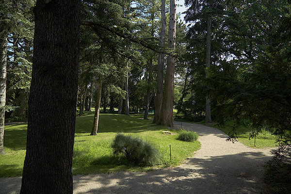 维也纳大学植物园 Universität Botanischen Garten