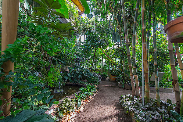 维也纳大学植物园 Universität Botanischen Garten