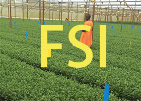 欧洲花卉业可持续发展计划（FSI）