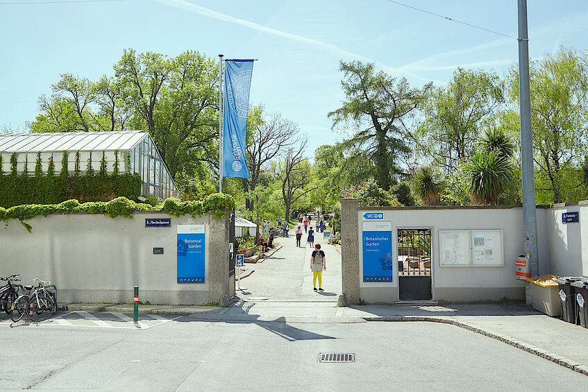 维也纳大学植物园 Universität Botanischen Garten