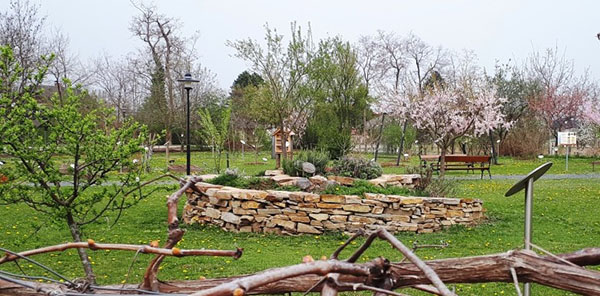 花园中的自然 炼金术士公园 Alchemistenpark