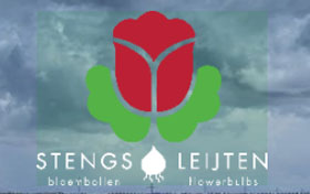 荷兰斯滕斯和莱伊滕郁金香苗圃 Stengs & Leijten