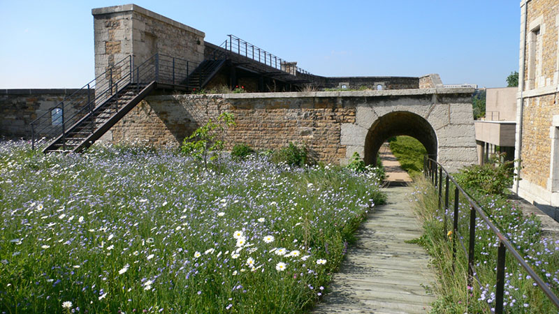 圣让堡Fort Saint-Jean（法国里昂）2019/2020年欧洲花园奖9个获奖花园