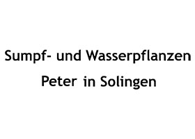 德国彼得在索林根的沼泽和水生植物 Sumpf- und Wasserpflanzen-Peter in Solingen