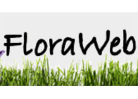 德国植物网 FloraWeb