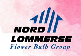 荷兰Nord Lommerse花卉球茎集团