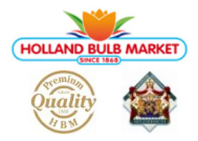 荷兰球茎市场 Holland Bulb Market B.V.