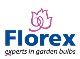 荷兰Florex花卉球茎出口公司