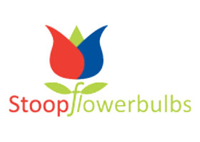 荷兰平花球茎 Stoop Flowerbulbs Holland