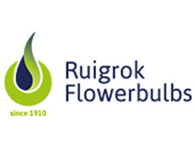 荷兰瑞洛克花卉球茎 Ruigrok Flowerbulbs