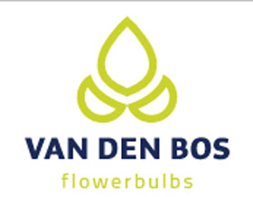 荷兰花卉球茎公司Van den Bos Flowerbulbs