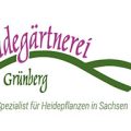 德国Heidegärtnerei Grünberg石南花苗圃