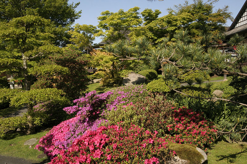 丹麦日本庭园