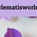 铁线莲世界 clematisworld