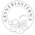 瑞典大岩桐种植协会Gesneriasterna