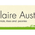 英国Claire Austin耐寒植物苗圃 Claire Austin Hardy Plants