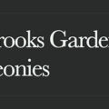 美国Brooks花园牡丹 Brooks Gardens Peonies