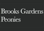 美国Brooks花园牡丹 Brooks Gardens Peonies