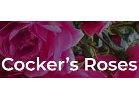 Cockers Roses Aberdeen 英国 Cocker玫瑰苗圃 Cocker’s Roses – 种苗生产与销售 - 放眼园艺-世界园艺之门